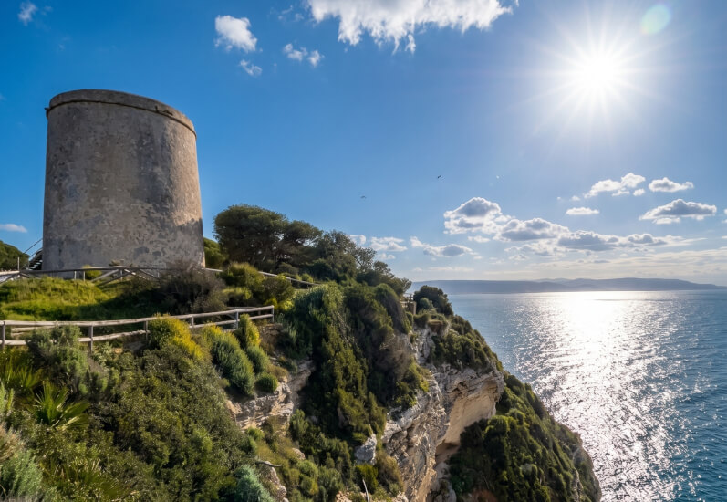Torre en un acantilado soleado y de abundante vegetación